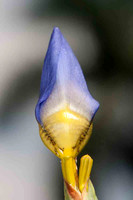 SC_PL_0674