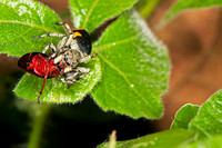 SC_AN_2359