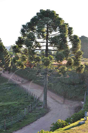 SC_PL_0253