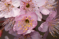 SC_PL_0658