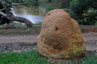 SC_AN_0205