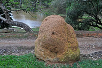 SC_AN_0206