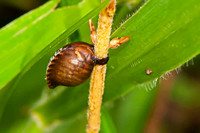 SC_AN_3353