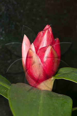 SC_PL_5074