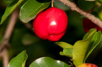 SC_PL_5358