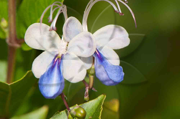 SC_PL_6280